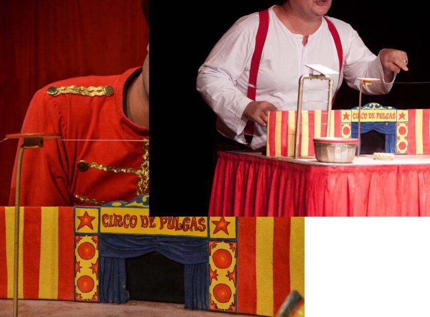 Circo de Pulgas_Teka Queiroz_02